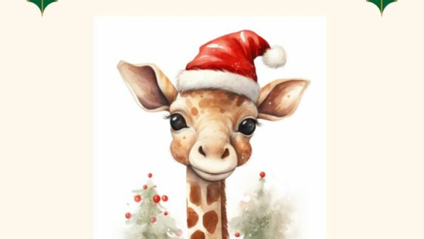 ¡Feliz Navidad de parte del equipo de Food4giraffes! 🎄